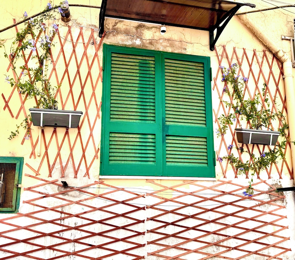 Monacos home and food