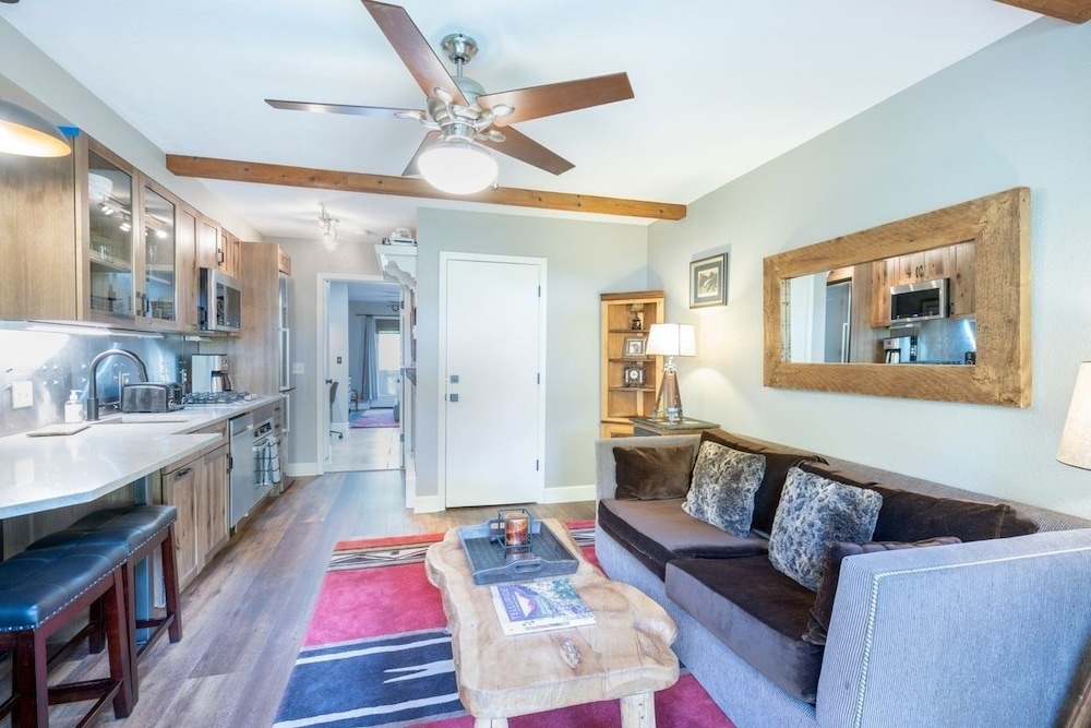 Telluride Ski Resort CO - Viking Lodge Condos