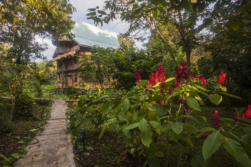 Cotton Tree Lodge