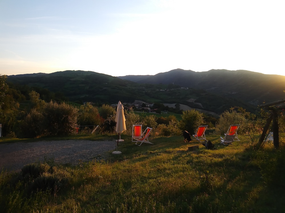 Photo 50