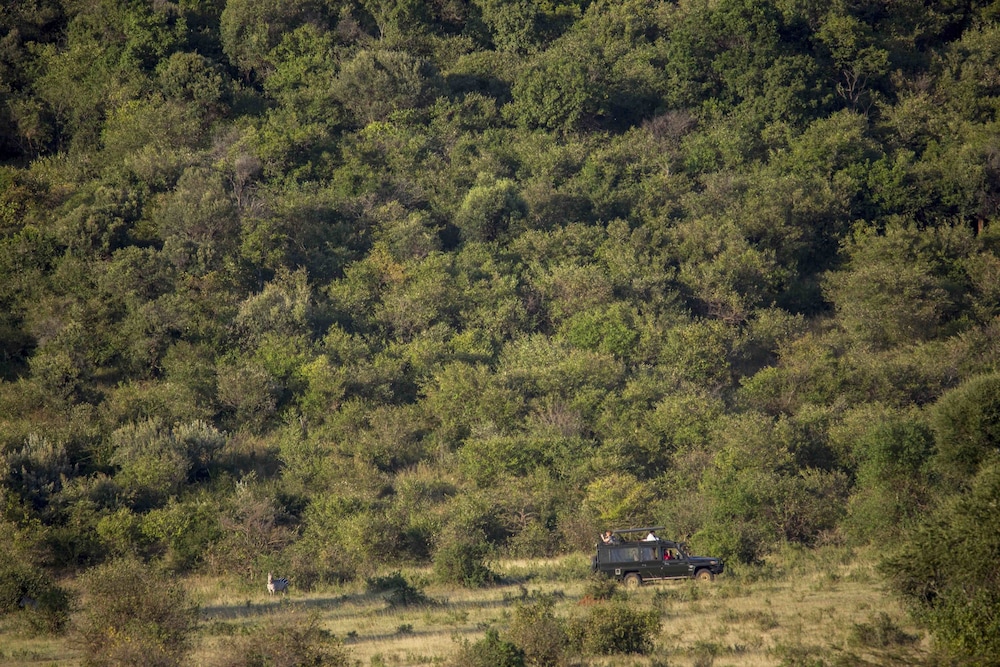 Spirit Of The Masai Mara