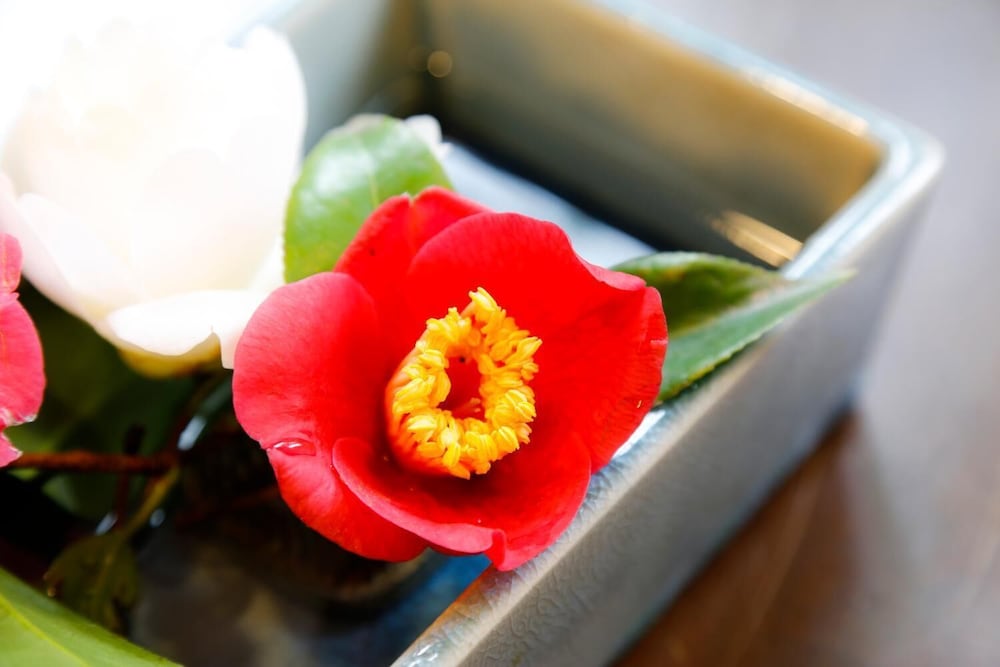 Tsubakino Ryokan