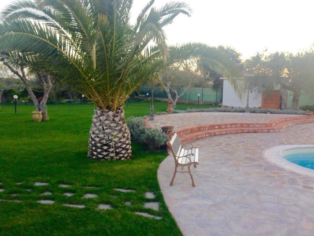 Photo 42