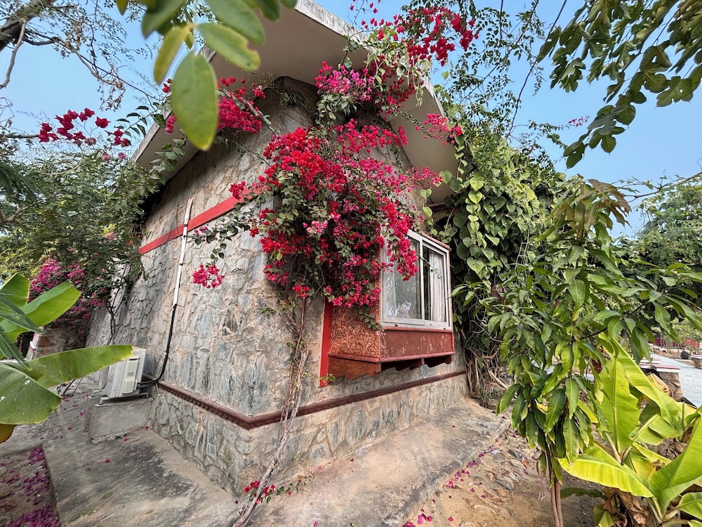 Neem Sarai Sariska