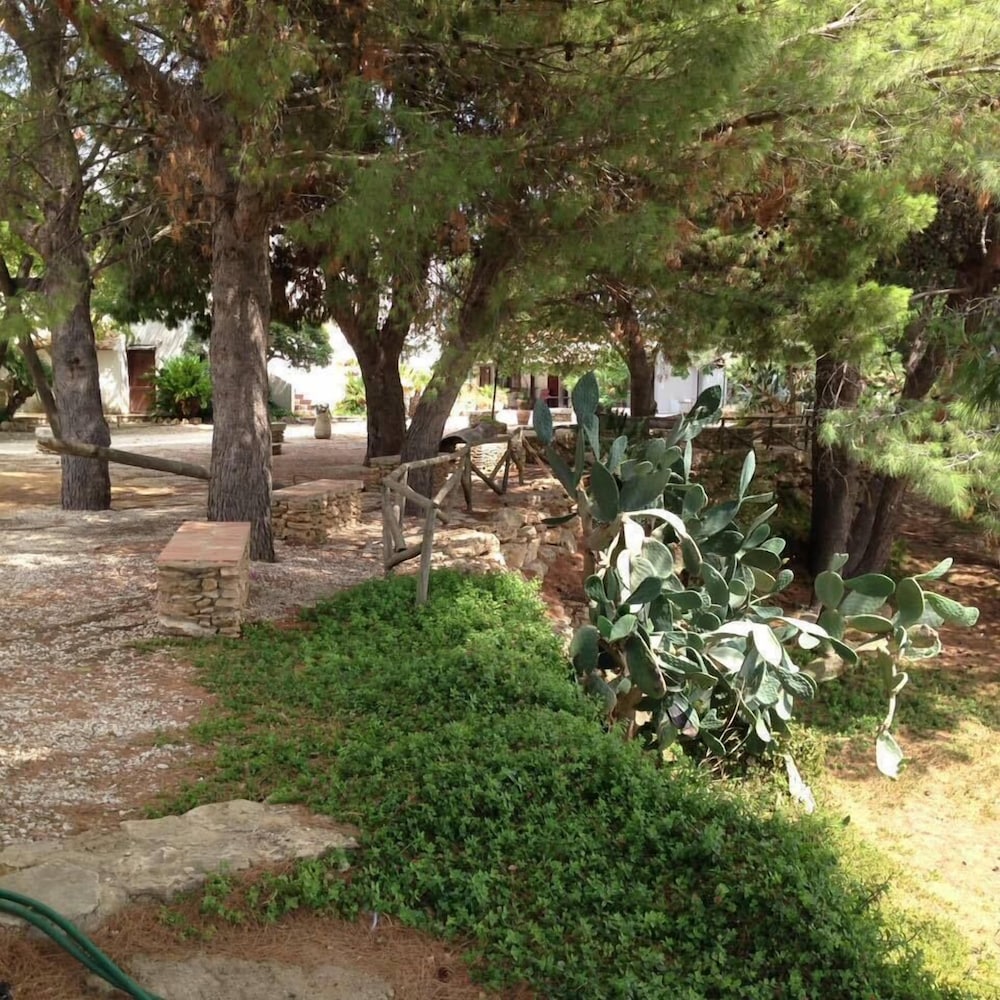 Photo 28