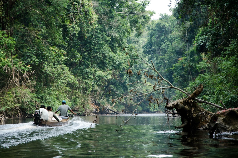 Mutiara Taman Negara 18