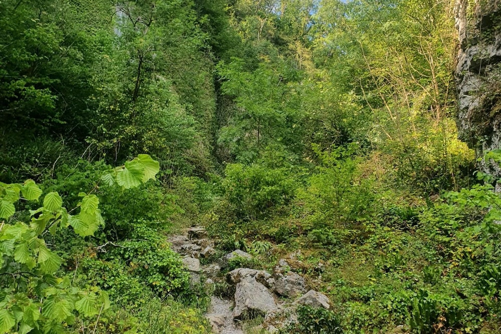 Photo 8