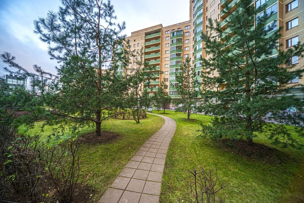 Apartment near Center Almazova 2 view 3