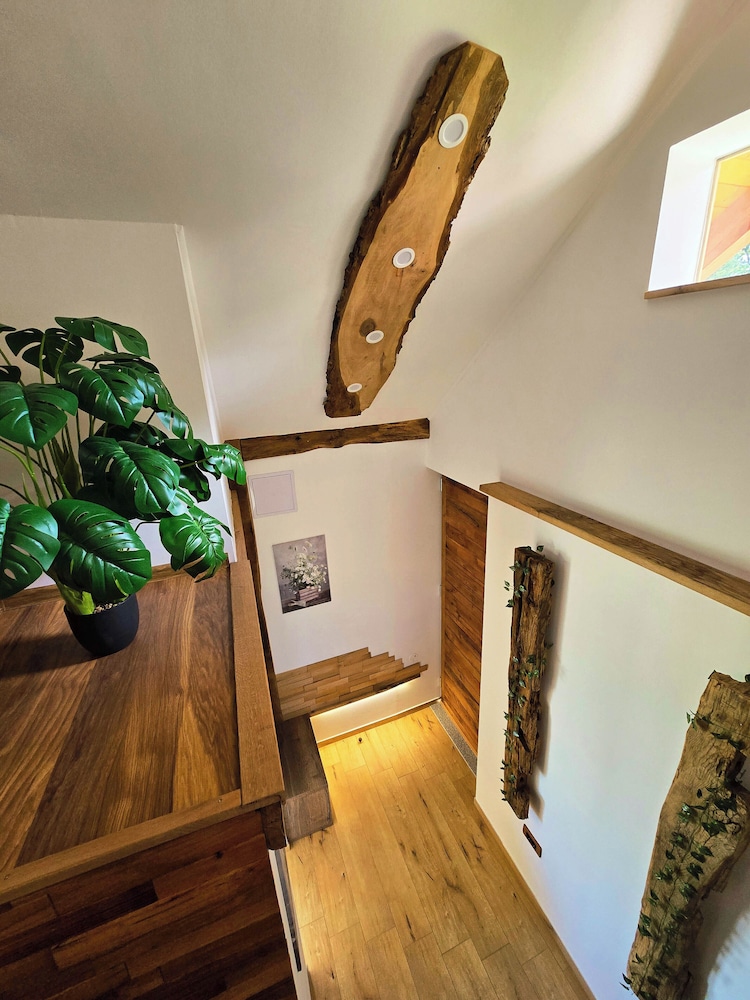 Vineyard cottage Pri mali luži