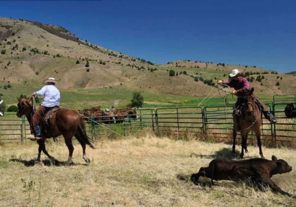 Wilson Ranches Retreat