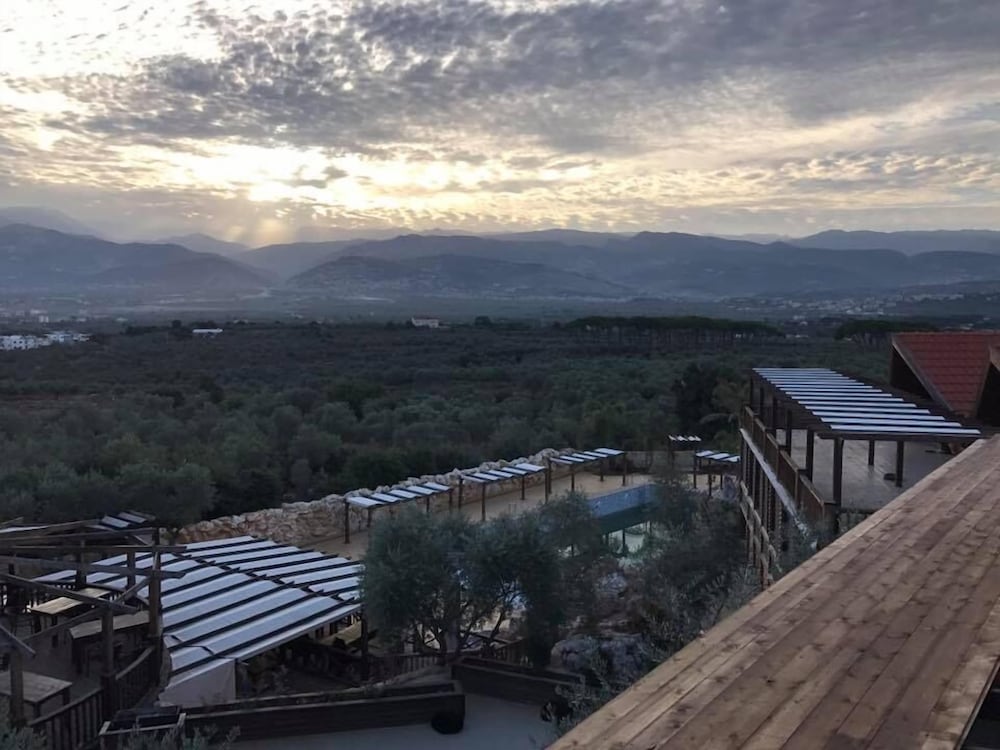 Olive Gardens Resort