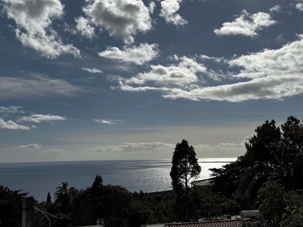 Machico View