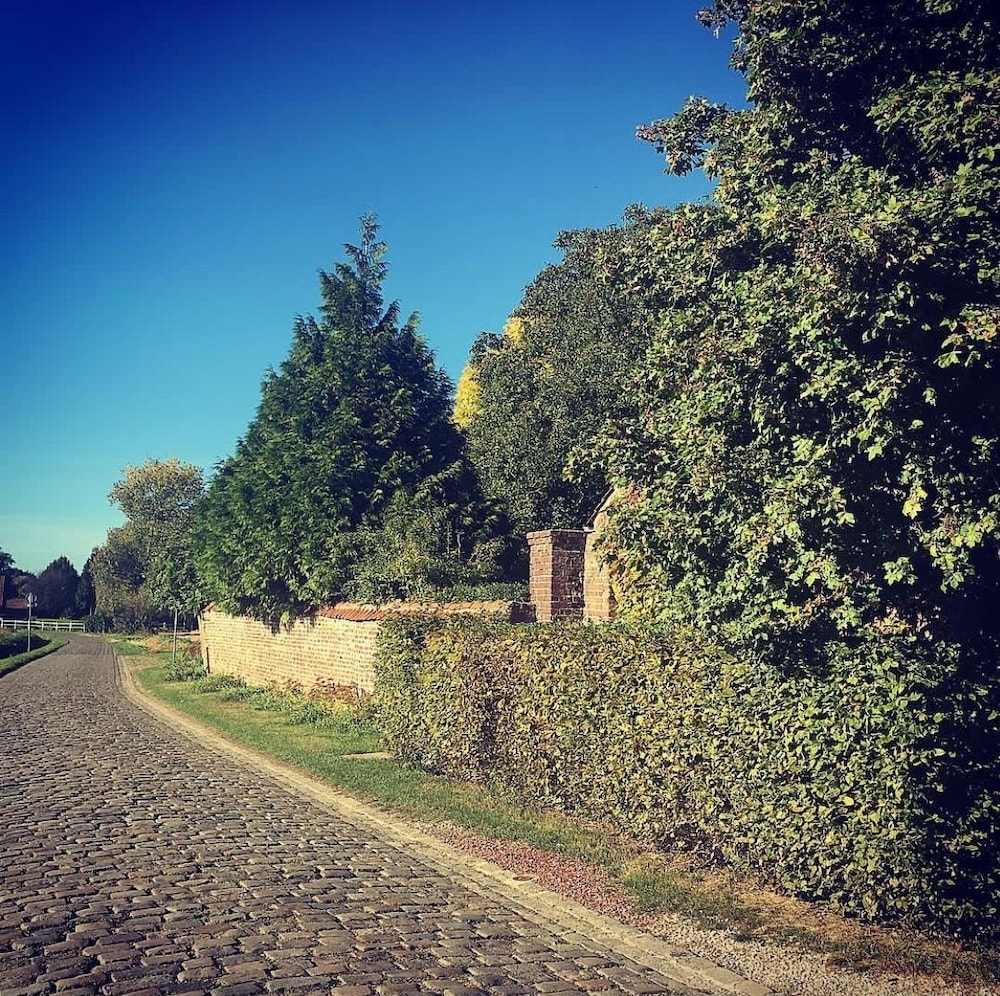 Le Clos de Bénédicte