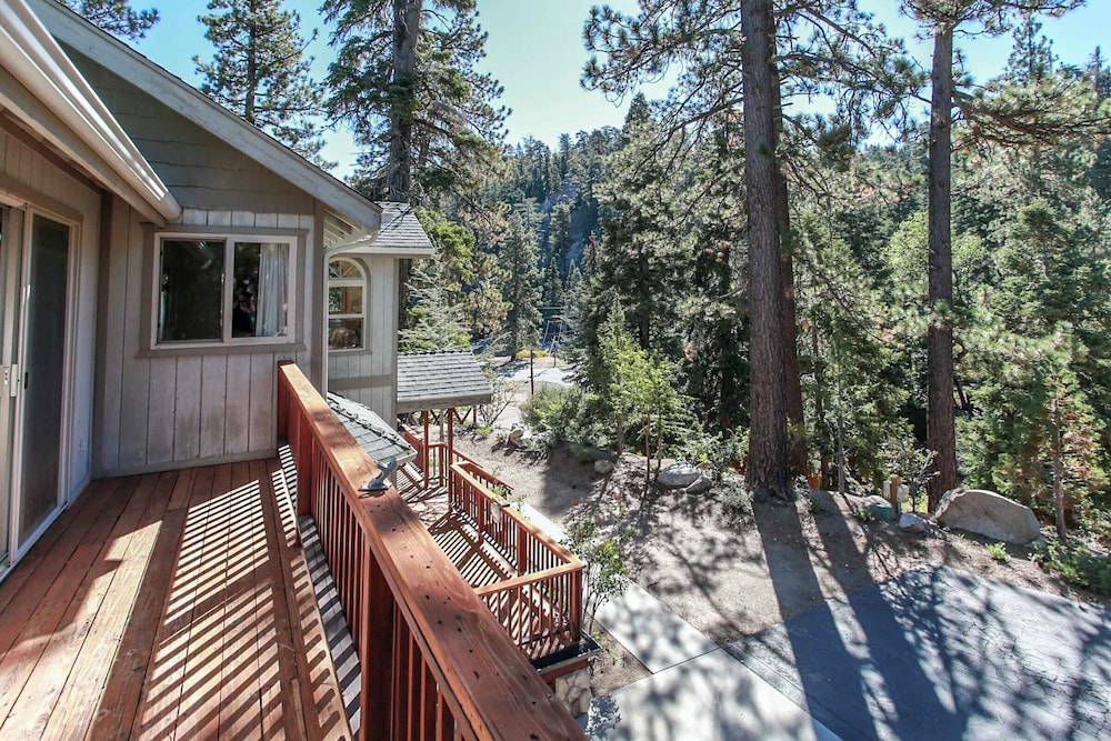 The Treehaus