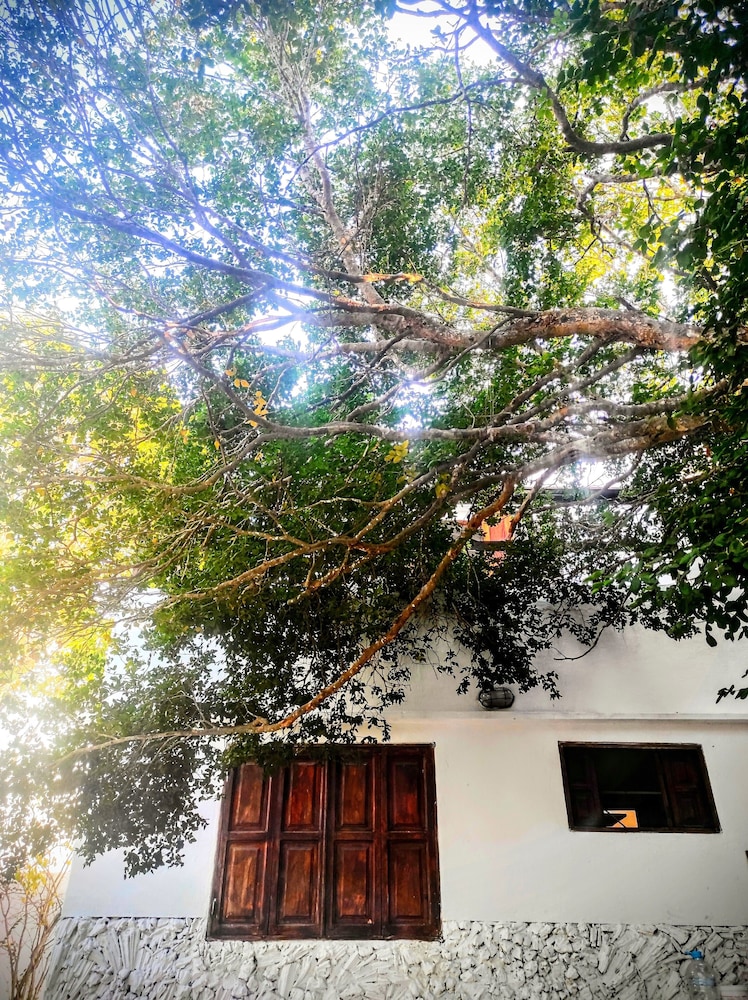 La Caracola Cartagena