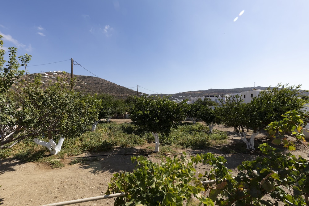 Irini Pension