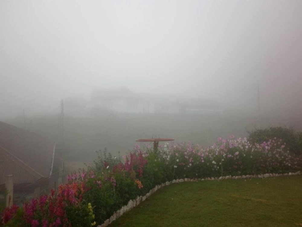 Tea Bush Hotel - Nuwara Eliya