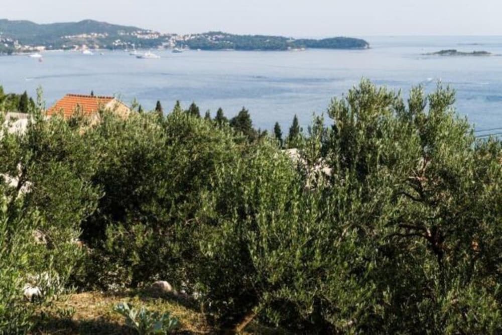 Apartments Olive - One Bedroom Apartment With Terrace and Partial Sea View - Popolica 50 view 4
