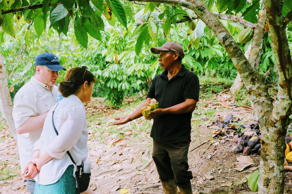 Palmento Grove Eco Cultural & Fishing Lodge