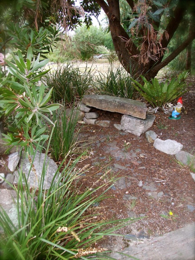 Currawong