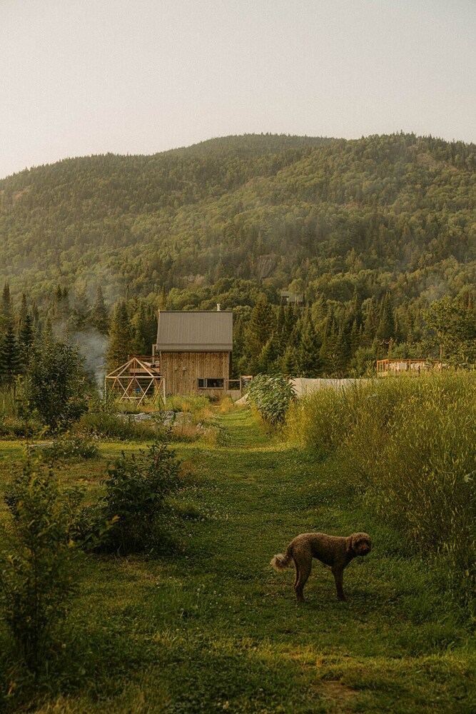 Farouche Tremblant