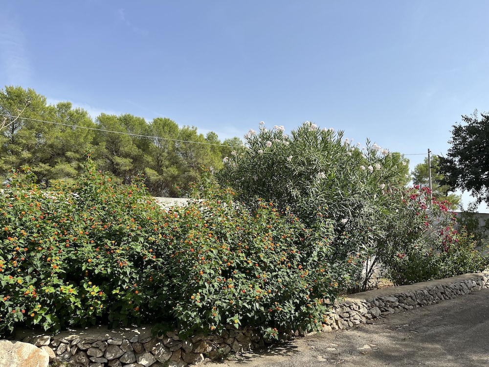 Masseria La Camardia