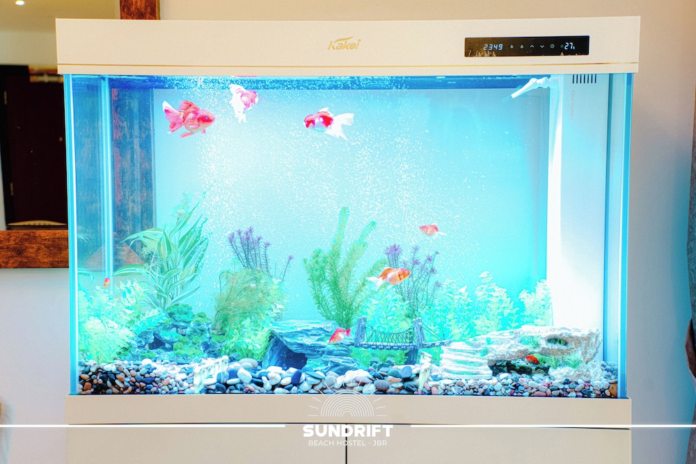 Sundrift Dubai Hostel