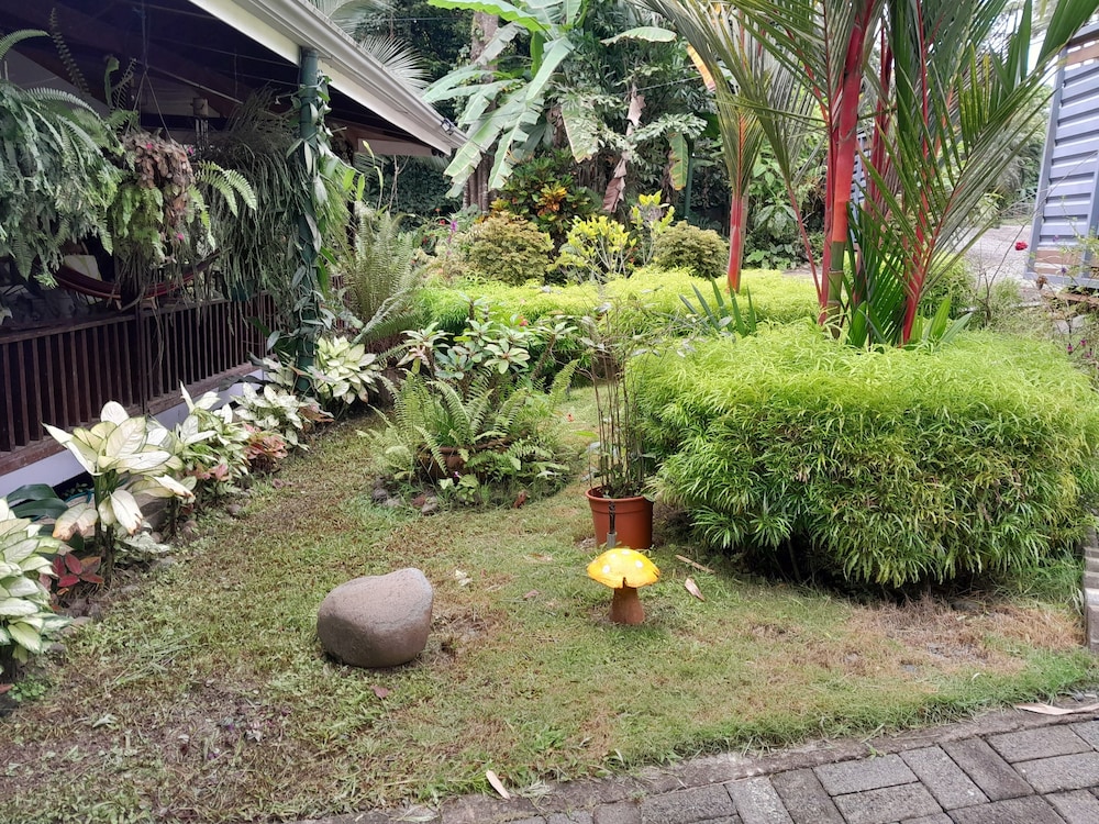 Photo 23