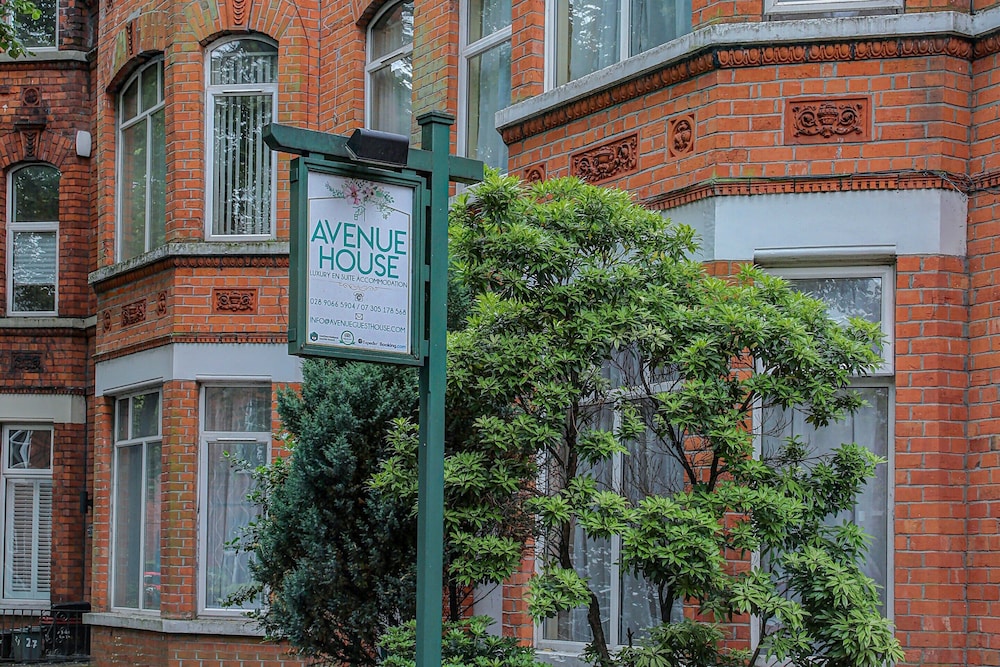 OYO Avenue House