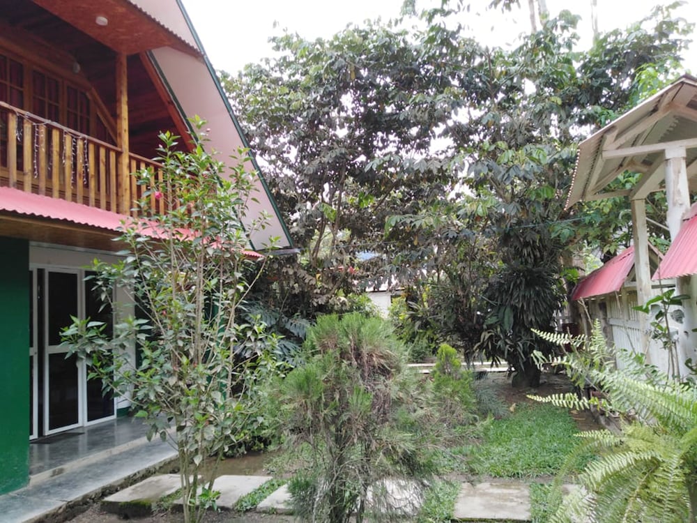 Photo 12