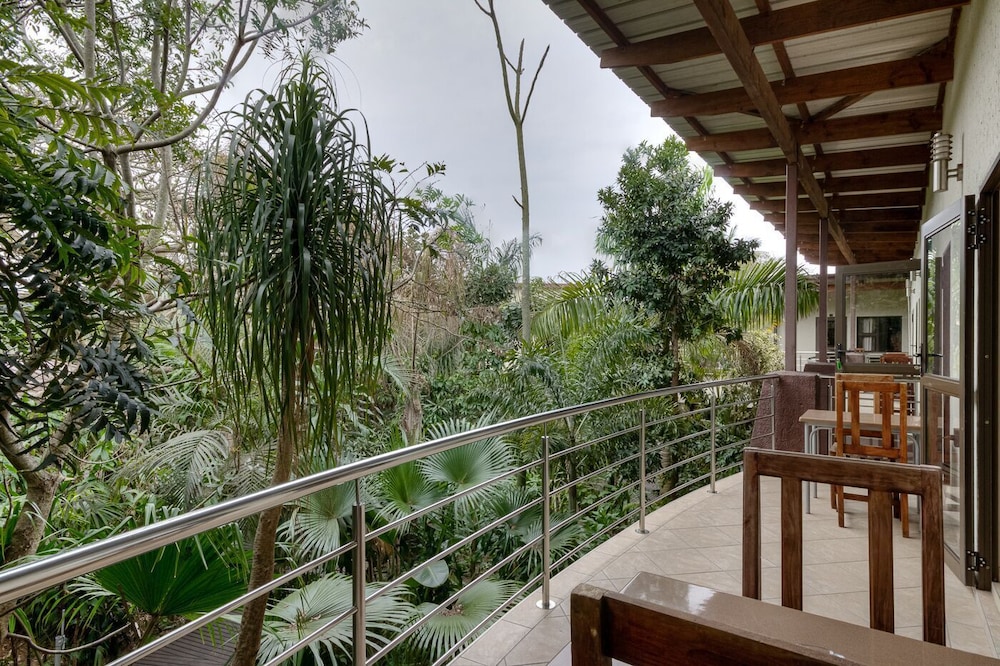 Forest Lodge