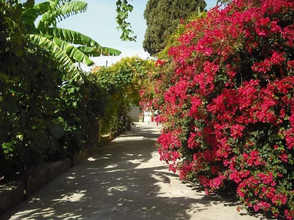 B&B Casa Museo Elio Romano, Billede 28