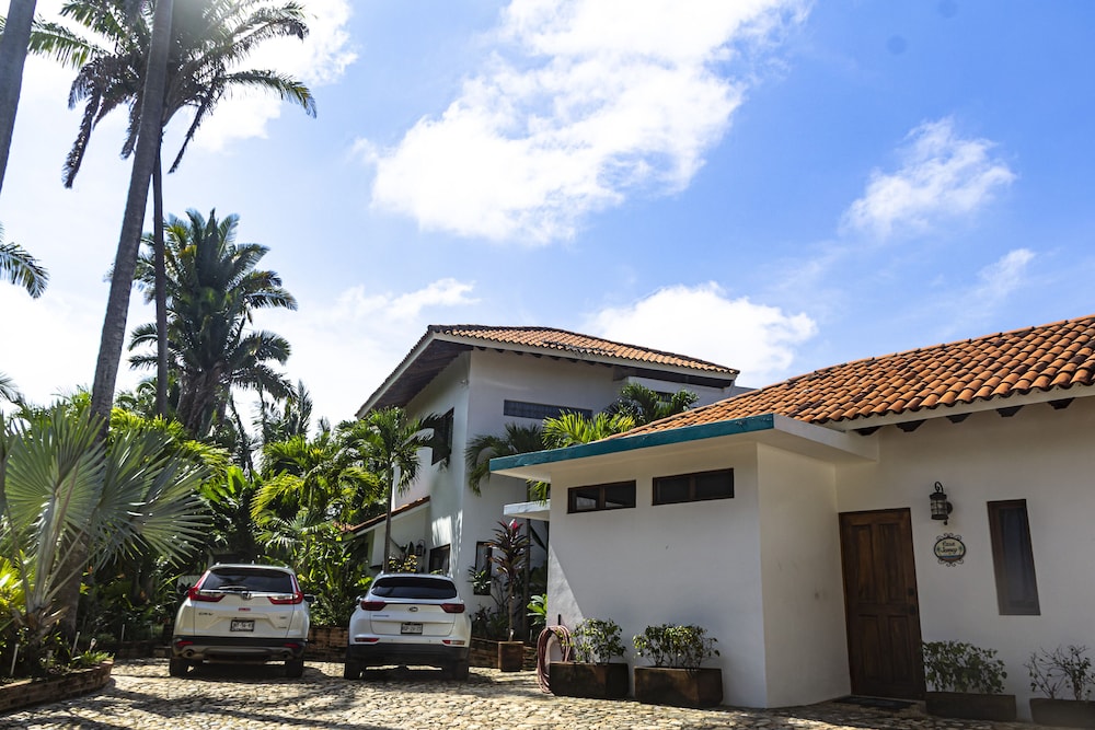Special Place Where you Combine the Peace of the Jungle With the Ocean View view 5