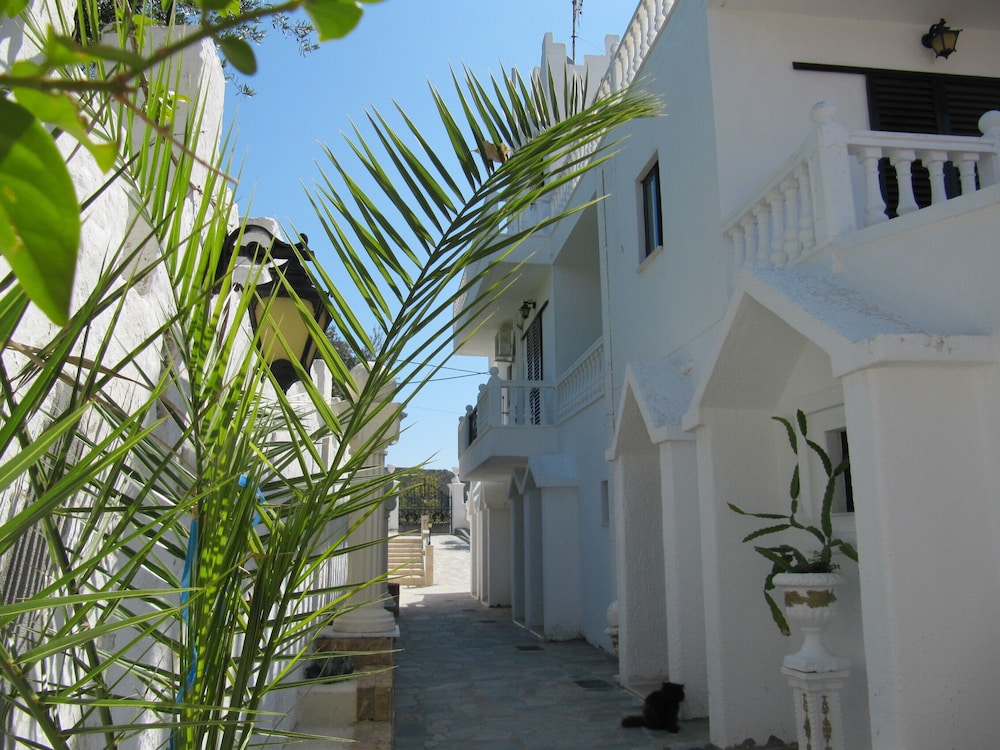 Castellino Studios