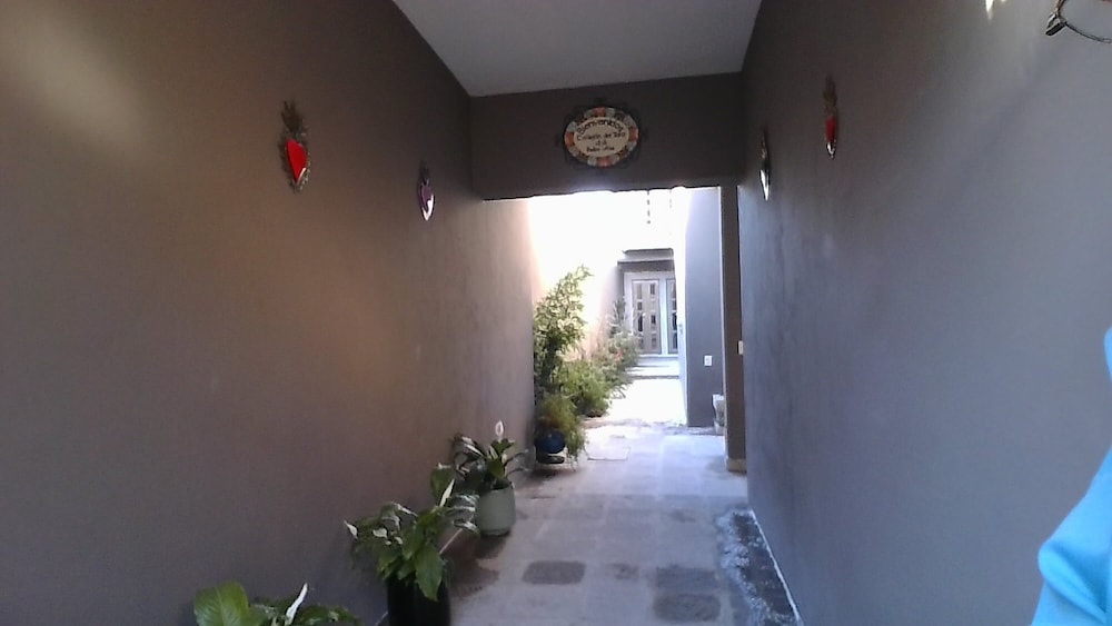 Photo 24