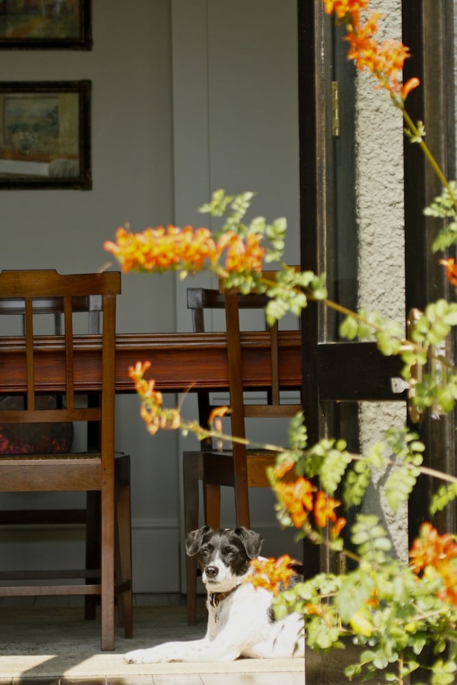 Torburnlea Homestead Luxury Accommodation