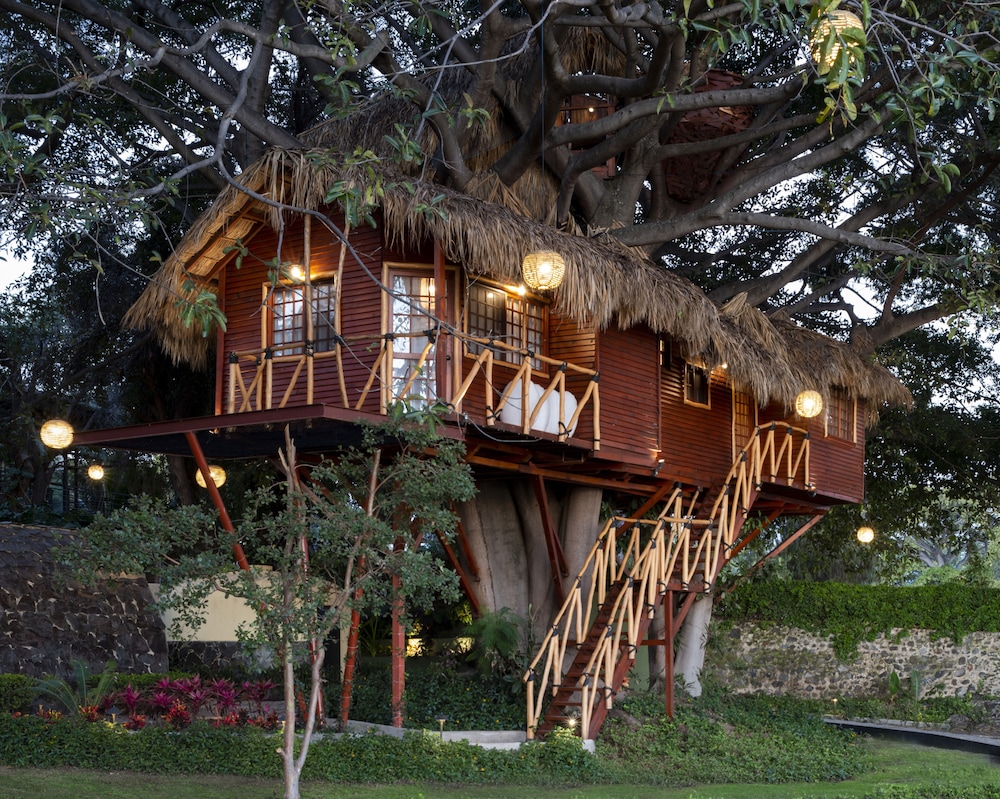 Nido Ecoluxury Treehouse - Casa de Arbol view 5