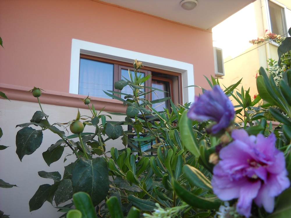 Melina's House