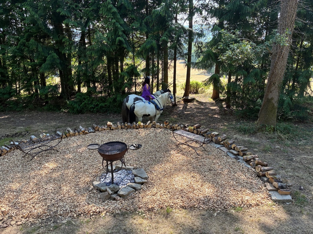 2 Guests - Pet Friendly - Traditional Gypsy Vardo