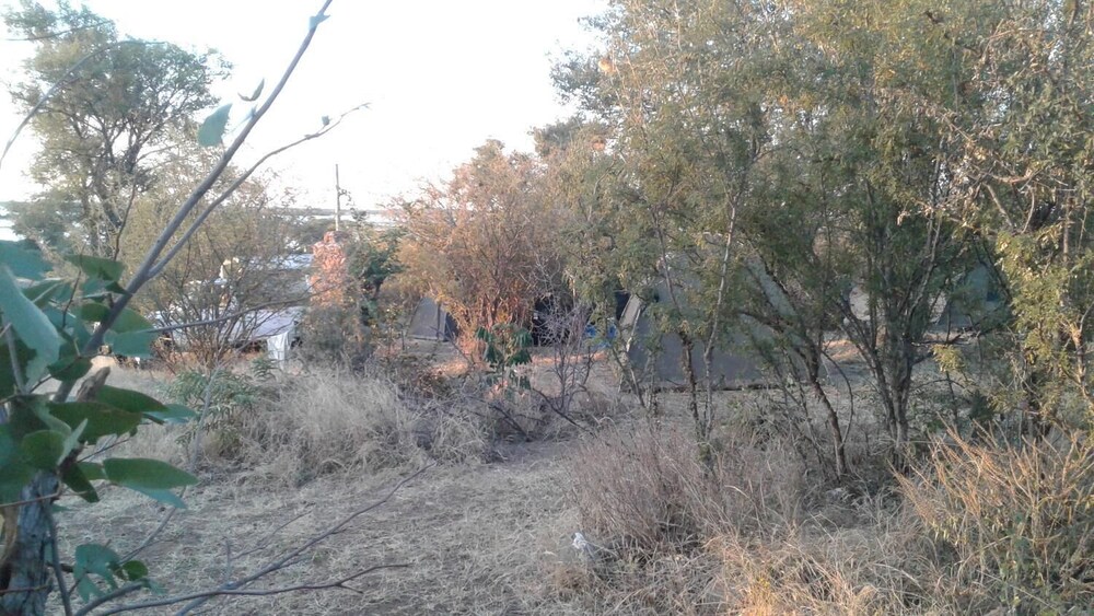 Photo 24