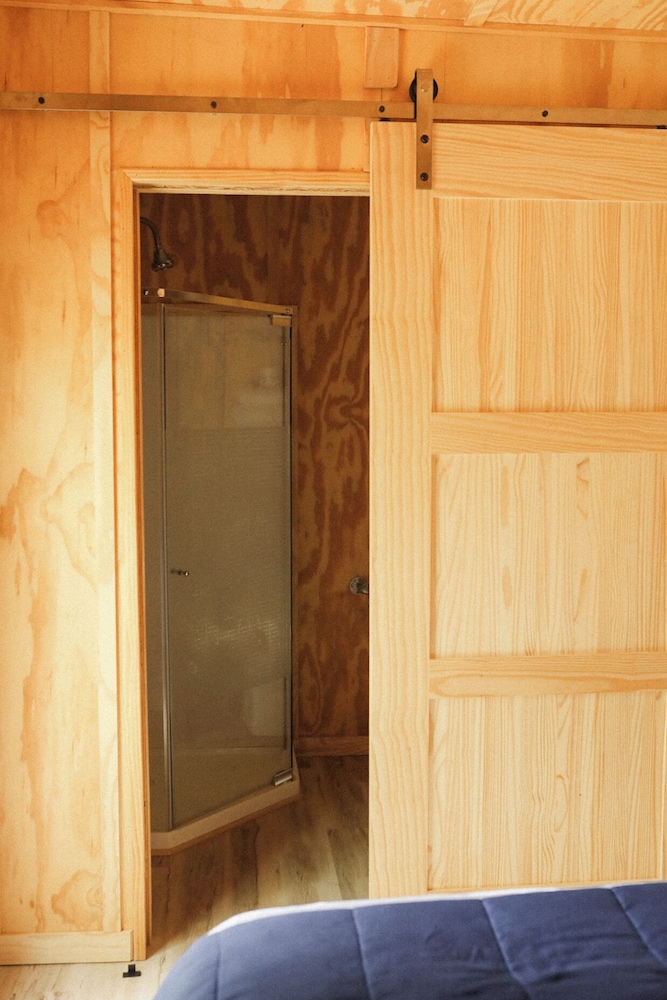 Photo 50