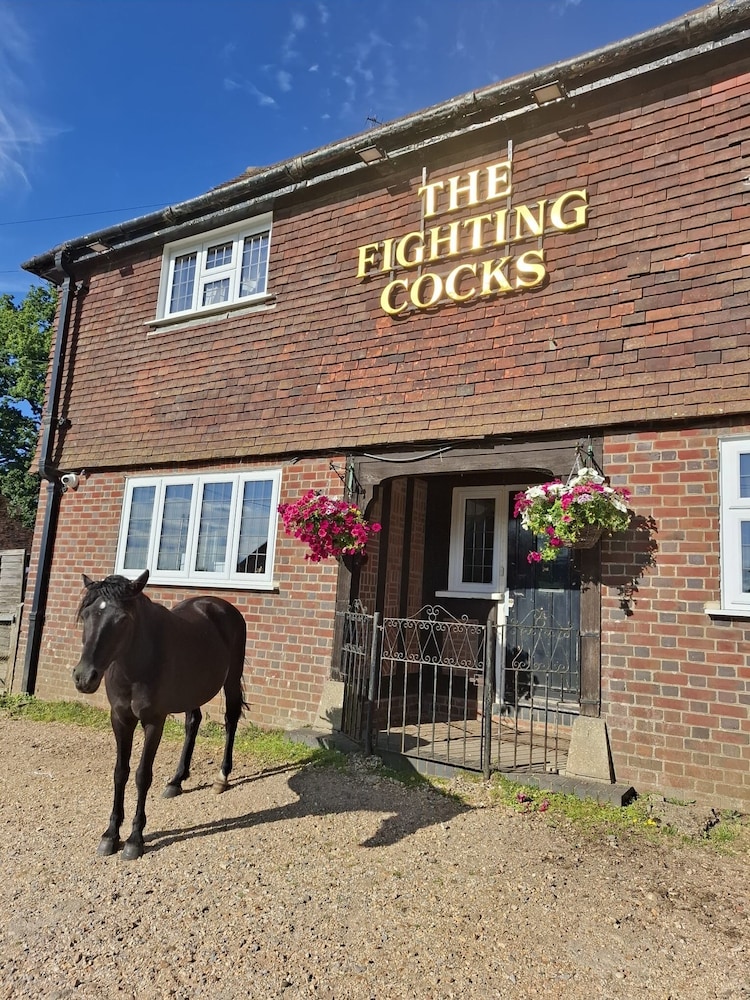 The Fighting Cocks