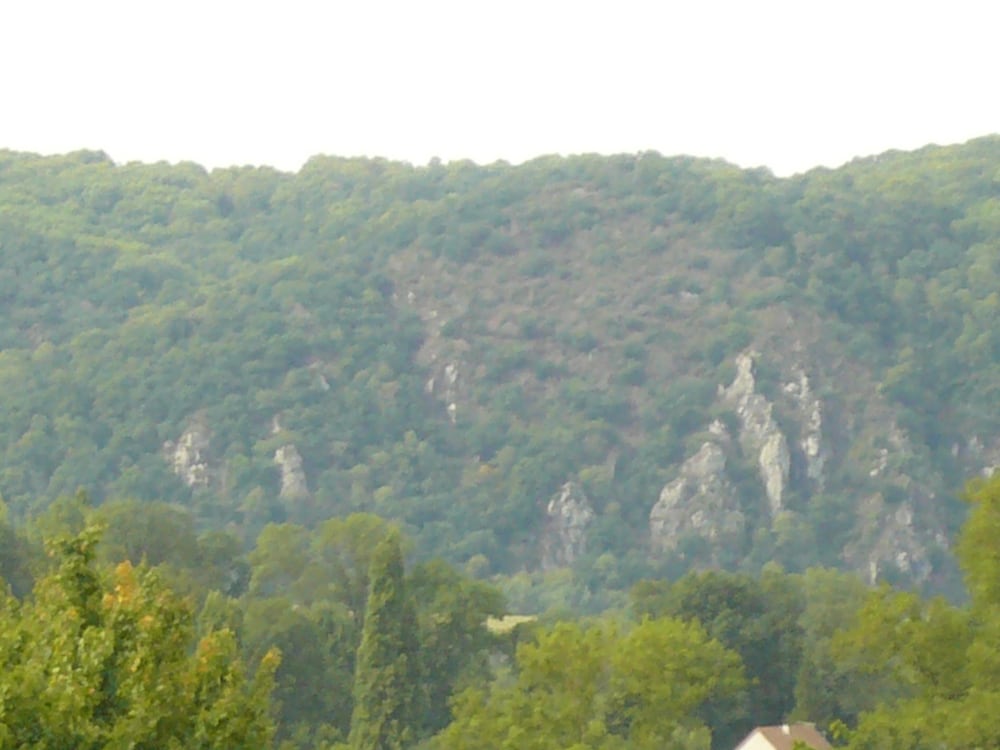 Photo 35