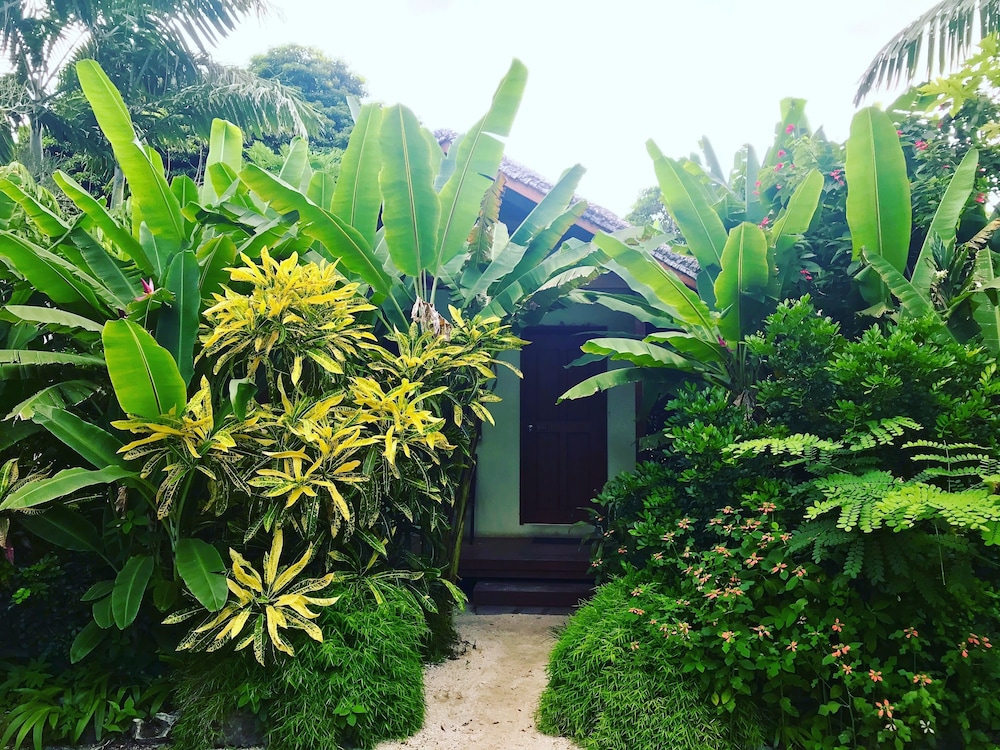 Tanna Evergreen Resort & Tours