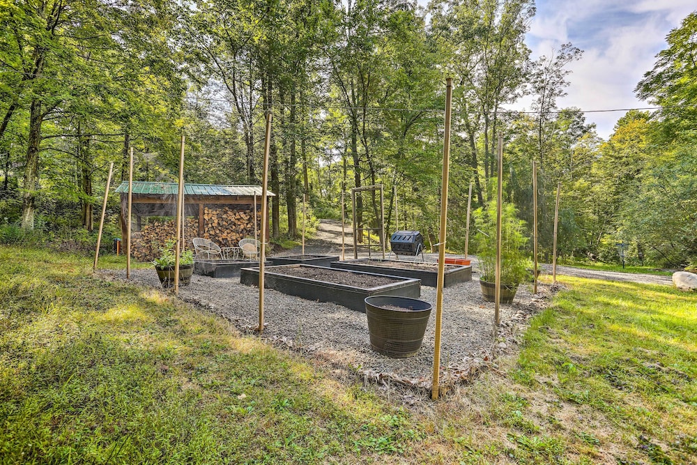 High Falls Restorative Cabin in the Woods! - Property Image 2