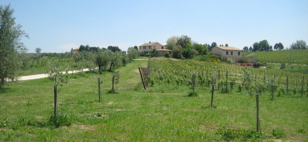Photo 29