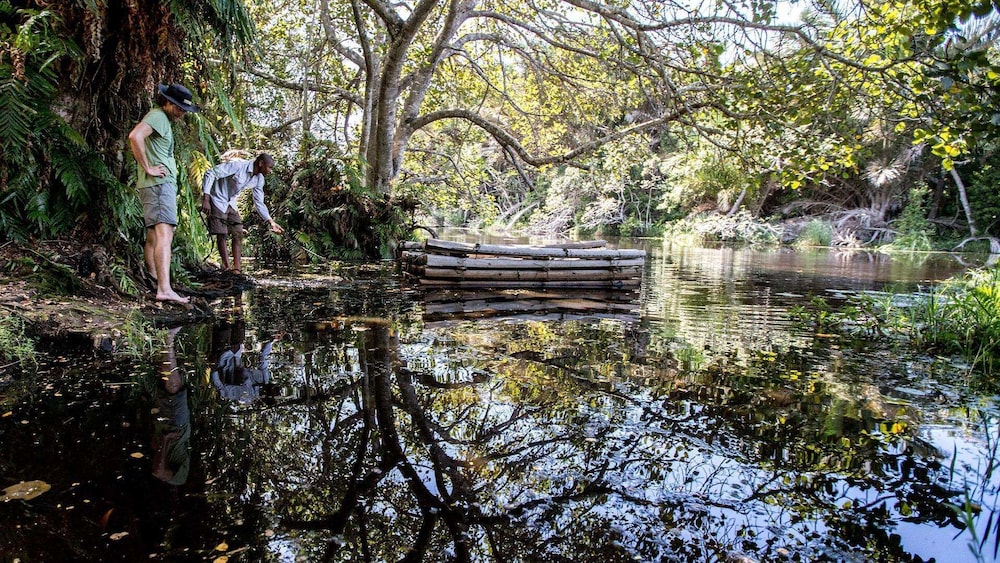 Royal Thonga Safari Lodge