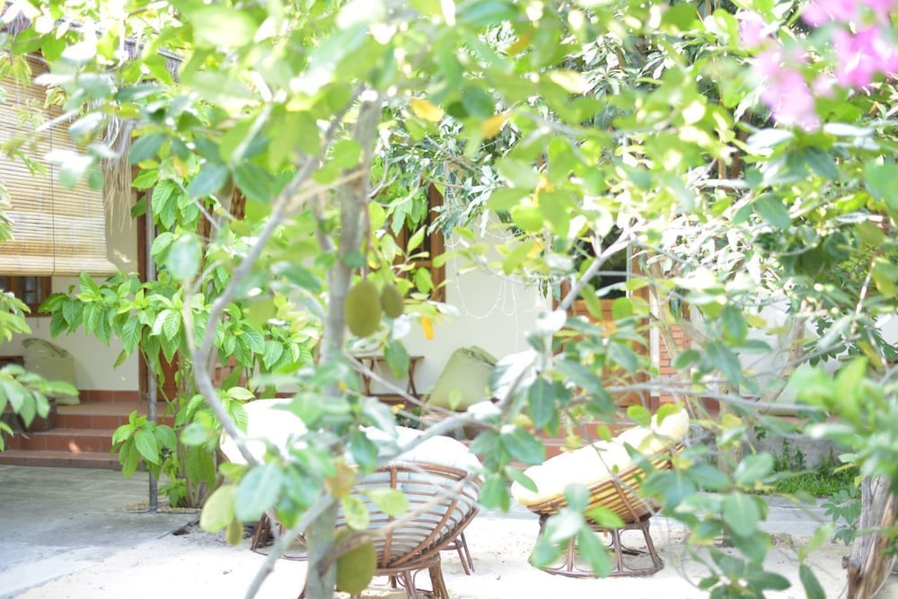Alyssa's Garden Home
