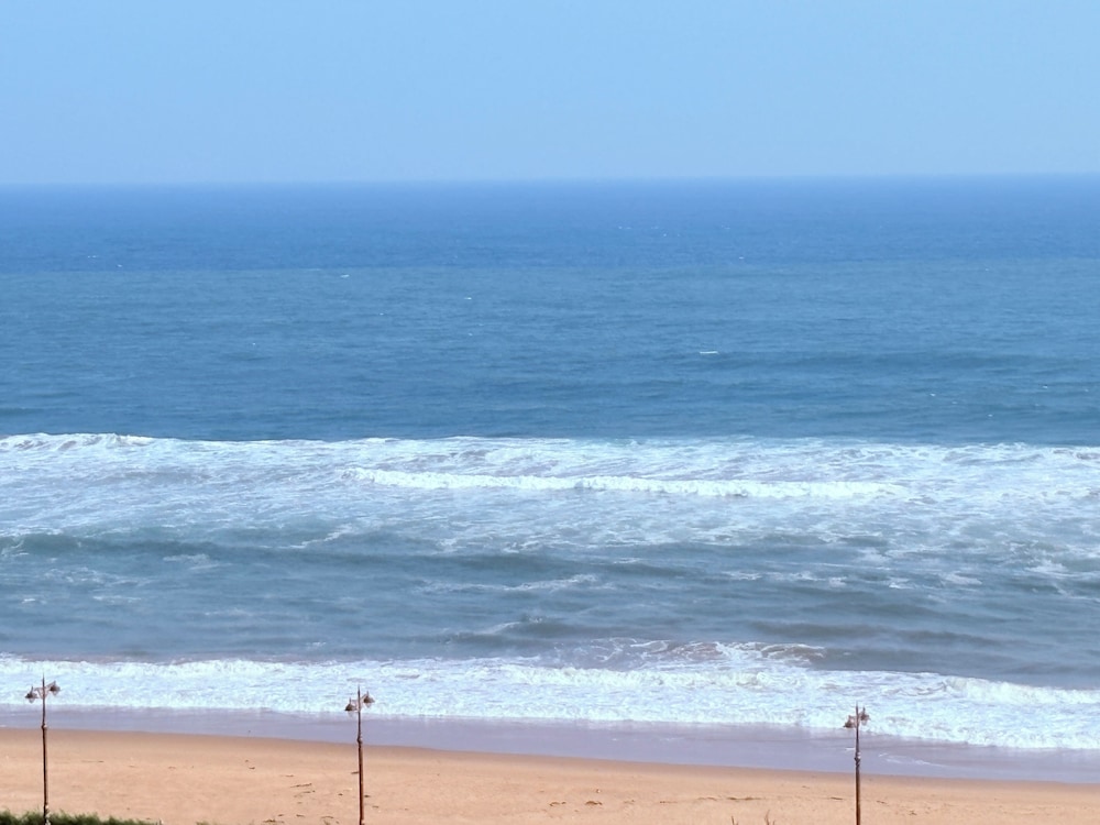 Golden Wave Premium Puri