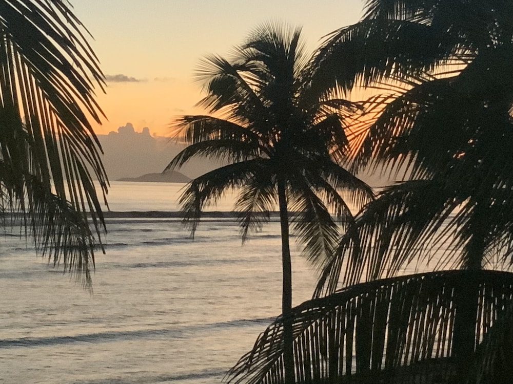 The Palms at Pelican Cove - Photo 8